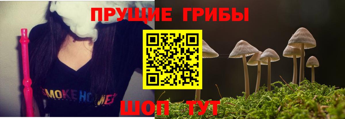 Псилоцибиновые грибы MAGIC MUSHROOMS Домодедово
